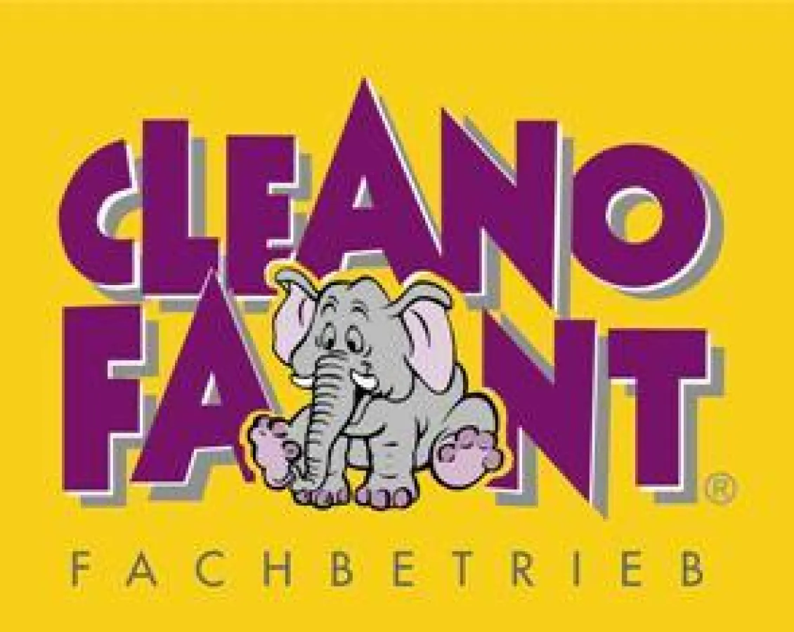 CLEANOFANT Fachbetrieb Heilbronn - Stuttgart: Fahrzeugpflege, Autoglas-Service, Reparatur von Lackschäden, Parkdellen...