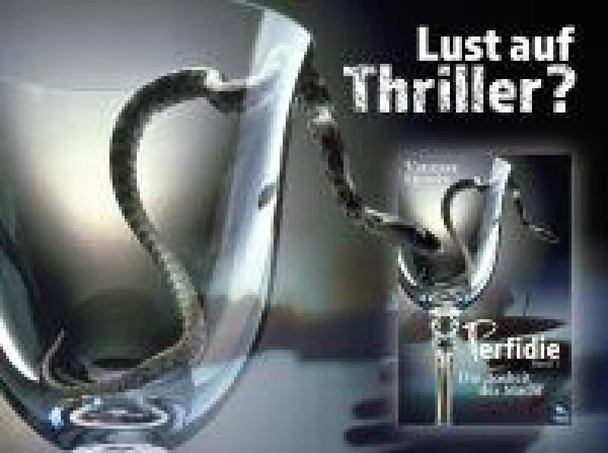 Perfidie - Die Bosheit der Macht, der neue Psychothriller von Vanessa Heintze