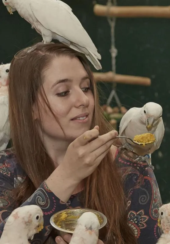 Cornelia Habl erforscht den Werkzeuggebrauch von Goffin-Kakadus. (Copyright: privat)