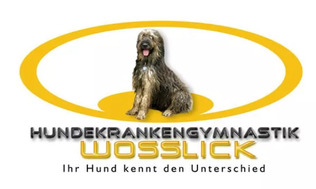 Wassertherapie in der Hundephysiotherapie Bild: Wassertherapie in der Hundephysiotherapie