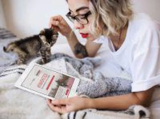 Jeder Klick ein Volltreffer! Bild: Jeder Klick ein Volltreffer!