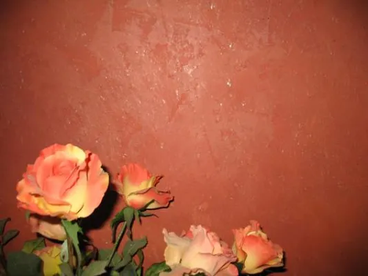 Bild: Kalkfinishputz von Casa Natura: Glanz und Glimmer für die Wand