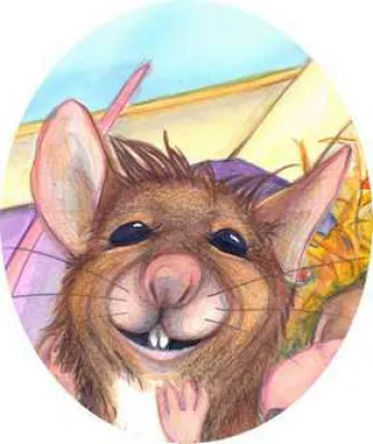 Mäuserich Finn kann die Welt nicht groß genug sein Bild: Mäuserich Finn kann die Welt nicht groß genug sein