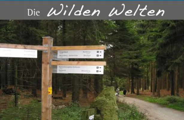 Bild: Dienstag 30.06.2009 - Geführte Wanderung auf dem Hohen Knochen in Schmallenberg im Sauerland
