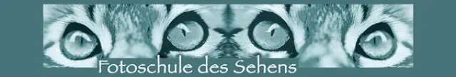 Bild: Workshop „Kamerabedienung und Fotografieren leicht gemacht“ mit der „Fotoschule des Sehens“