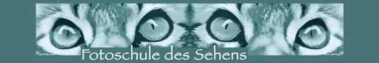 Bild: Workshop „Kamerabedienung und Fotografieren leicht gemacht“ mit der „Fotoschule des Sehens“