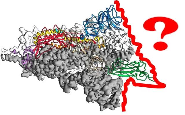 Bild: Covid-19: Ranking der Substanzen und Medikamente, die gegen das Virus wirken