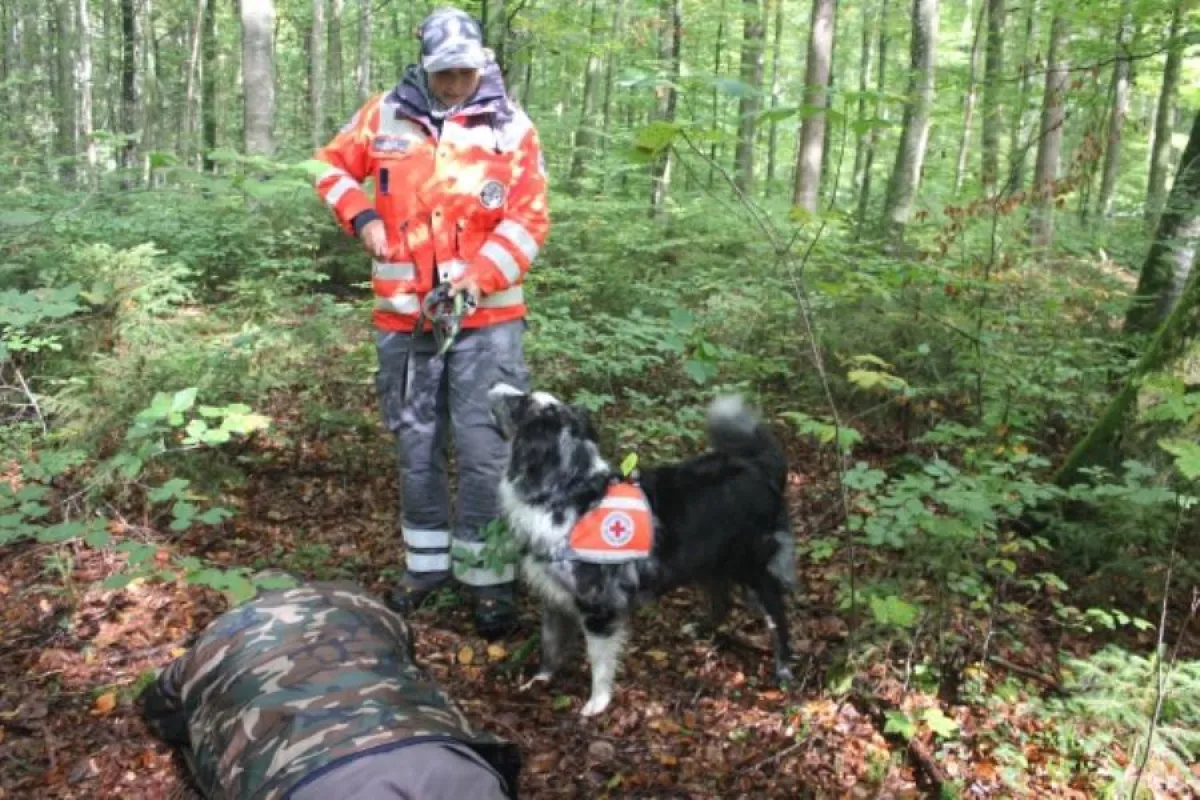 Rettungshund „Blue“ hat soeben einen
