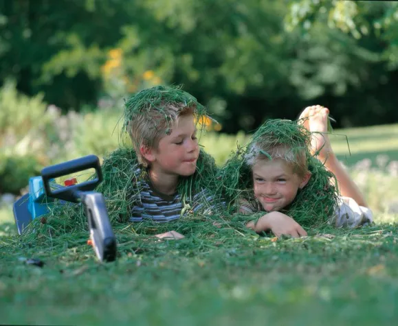 Bild: Eigentums-Wohnanlage - Wer Recht am Garten hat