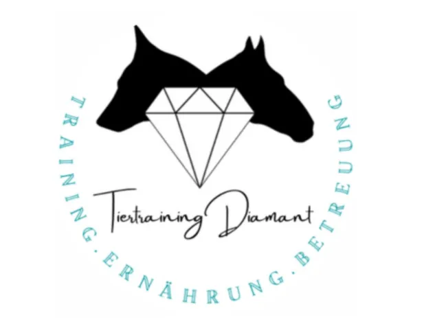 Bild: Kleine Hunde, große Pläne für das Jahr 2025 bei Tiertraining Diamant