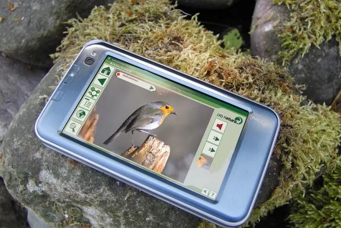 Bild: Pro Natura Schutzgebiet Aletschwald - Digitaler Begleiter eGuide für Besucher