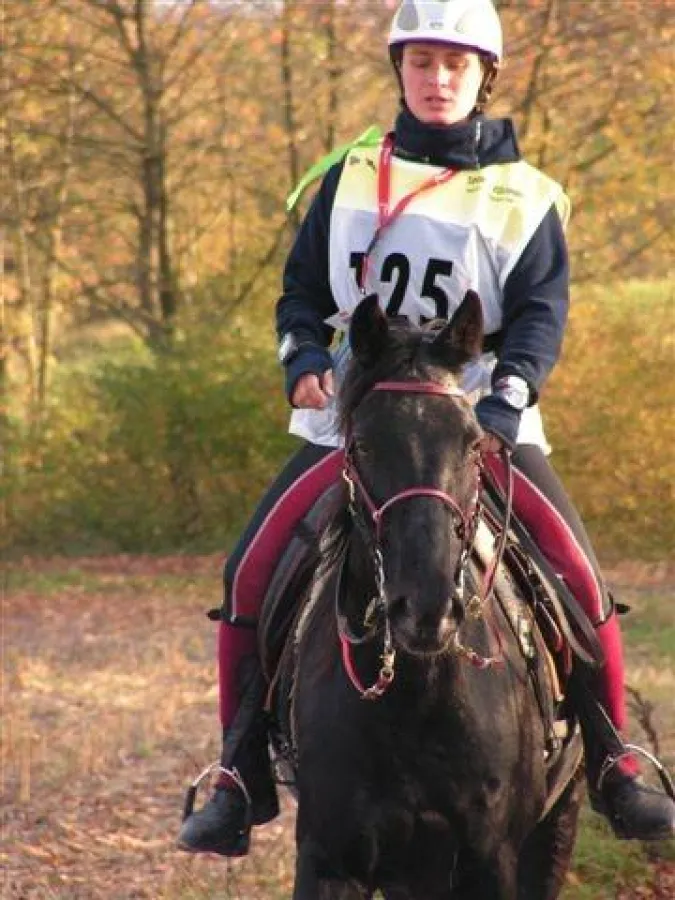 Professionell mit Pferden unterwegs - EPA