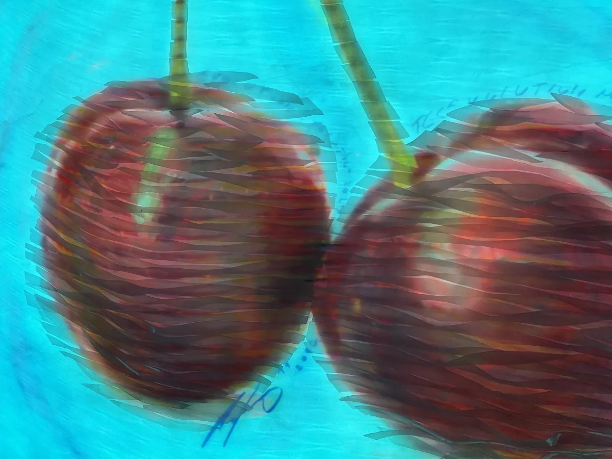 Kilian Saueressig - Cherries (© Kilian Saueressig)