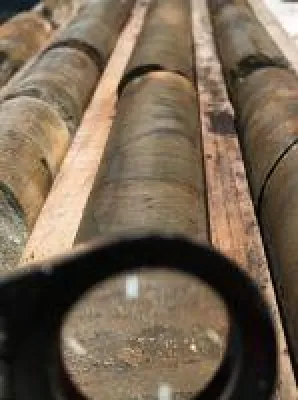 Bild: TerraX findet sichtbares Gold in historischen Bohrkern