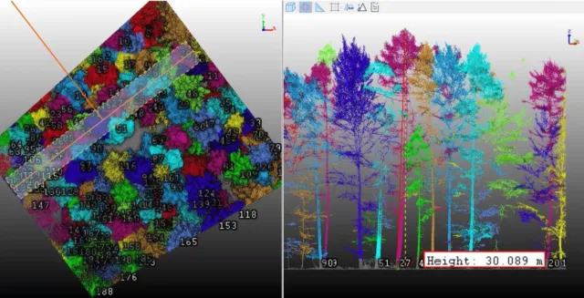 Bild: Digitale Forsteinrichtung: Drohnen und Laserscanner liefern exakte Daten für den Wald