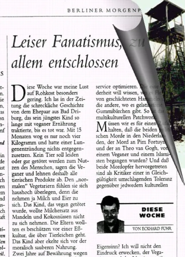 Fuhr-Artikel: Was steckt dahinter? (Fotomontage)