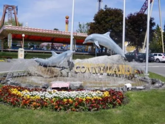 Bild: Schweiz verbietet Delfinimporte - Delfinschützer vom WDSF demonstrieren mit Hollywoodstar