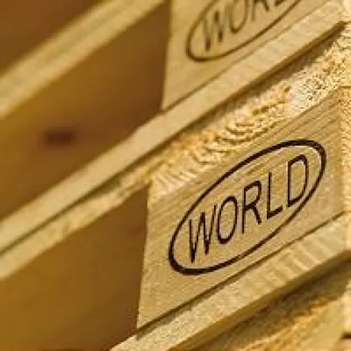 Bild: 3 Jahre WORLD Palette: Der Durchbruch ist geschafft