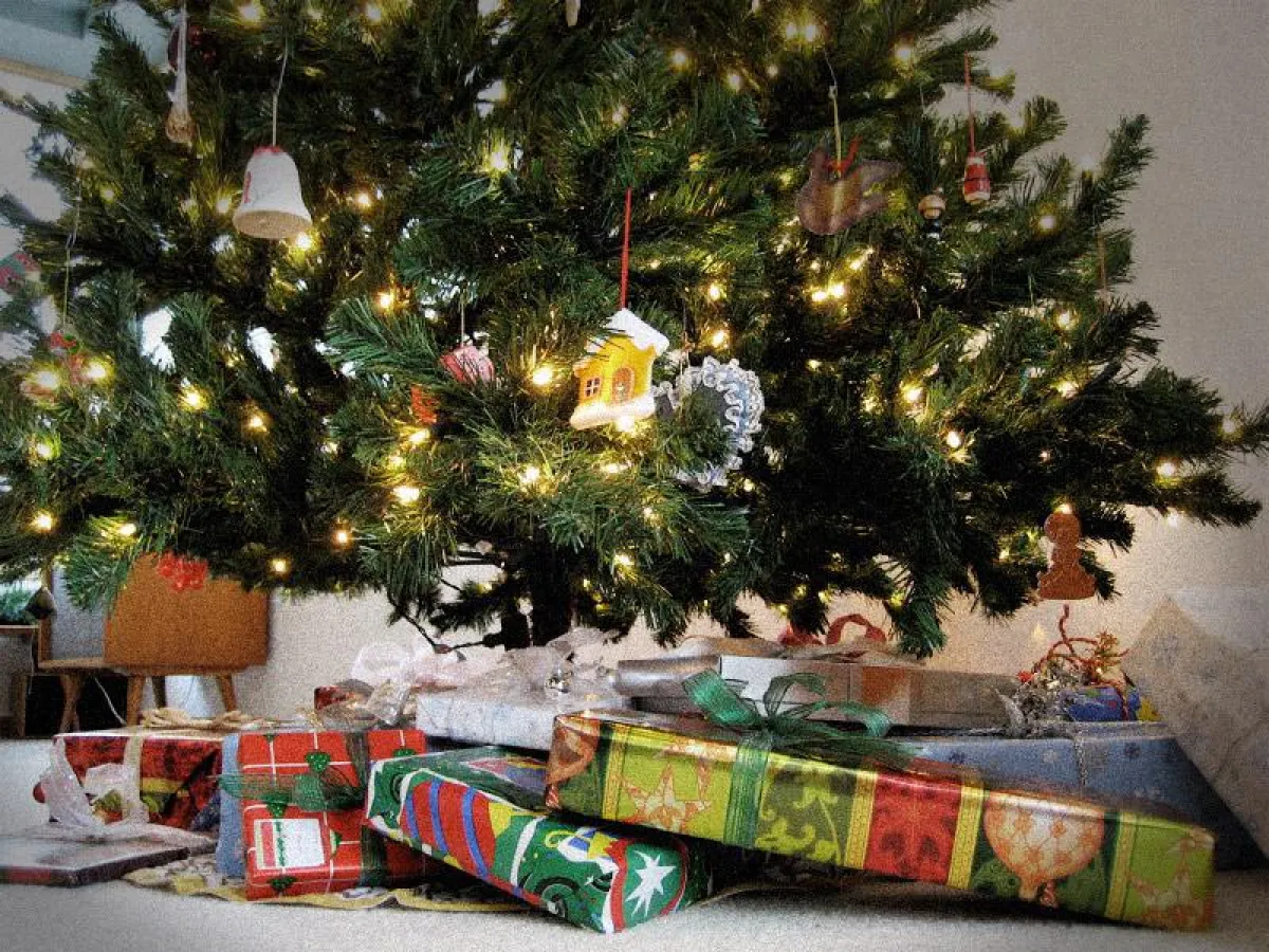 Stromfresser unterm Weihnachtsbaum