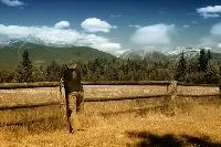 Bild: Farmarbeit in Kanada - die optimale Work and Travel - Alternative