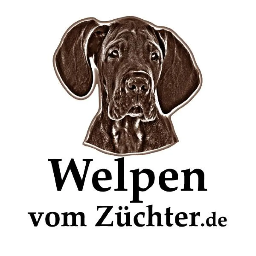 Logo Welpen-vom-Zuechter