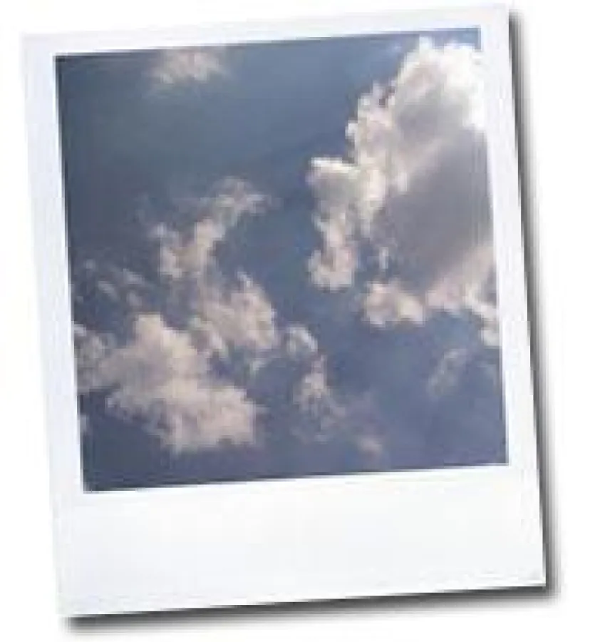 Ein Beispiel-Polaroid des Kunstprojekts \