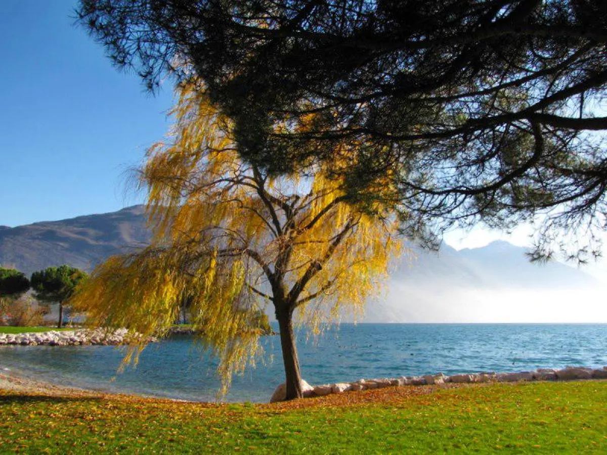 Herbst im Garda Trentino