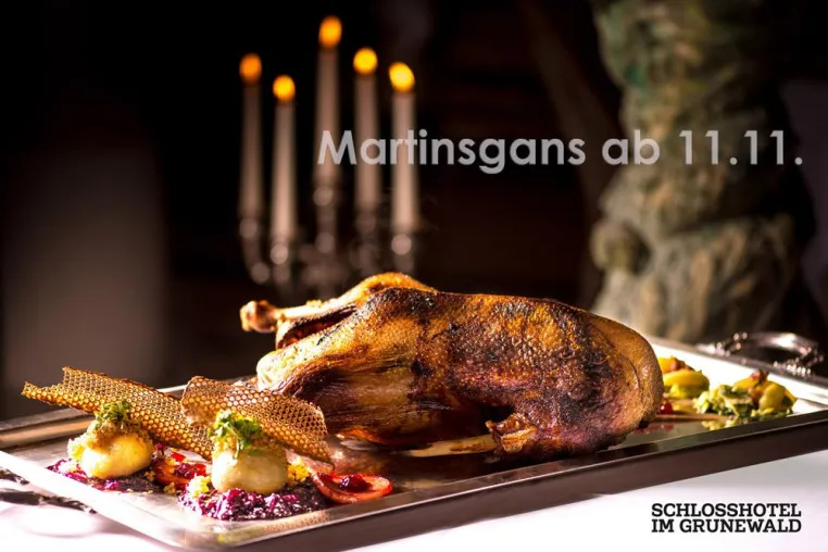 Eine Gans, die ab dem 11.11. Freude bringt Bild: Eine Gans, die ab dem 11.11. Freude bringt