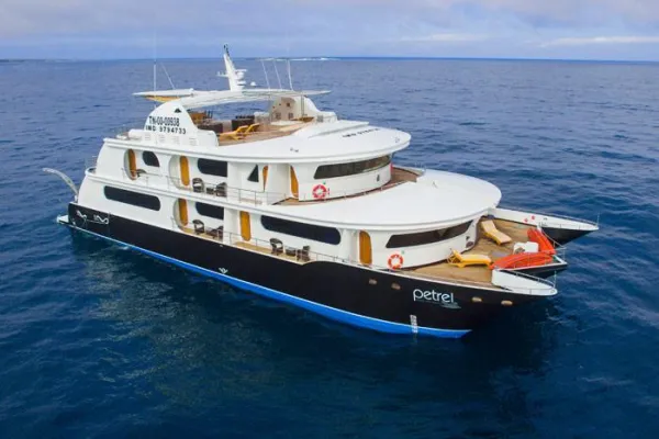 Bild: Petrel - neue Yacht und Kreuzfahrt auf den Galapagos Inseln von advenation