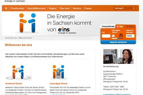 Bild: EWERK und eins erfolgreich für Webauftritt »fusioniert«