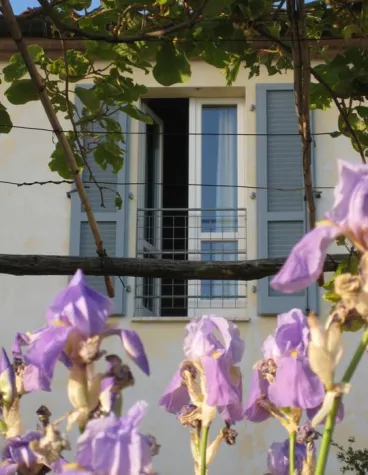 Bild: Ferien beim Winzer: Weingut Podere Riparbella in der südlichen Toscana