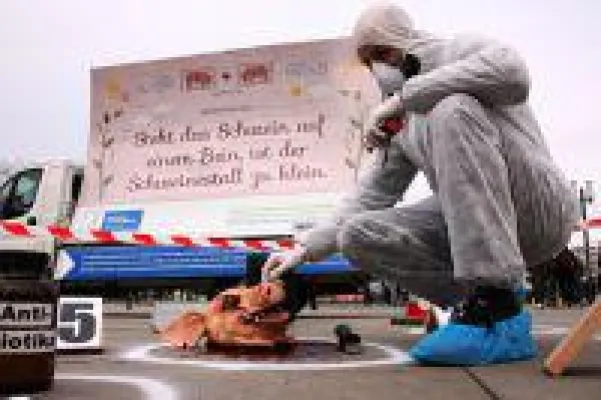 Pressetermin am 16.03.2017: Schweine plakatieren "Neue Bauernregeln" in München - Innenstadt wird zum Ta Bild: Pressetermin am 16.03.2017: Schweine plakatieren "Neue Bauernregeln" in München - Innenstadt wird zum Ta
