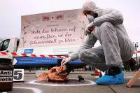 Bild: Pressetermin am 16.03.2017: Schweine plakatieren "Neue Bauernregeln" in München - Innenstadt wird zum Ta