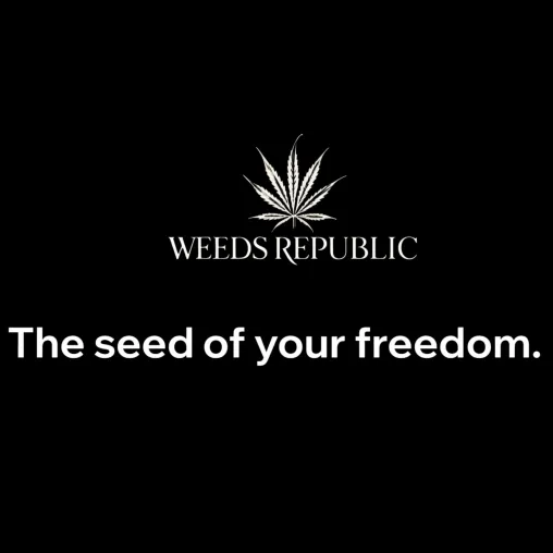 Weeds Republic sorgt für Lachtränen im Geldbeutel: Hochwertige Cannabissamen zum Spottpreis! Bild: Weeds Republic sorgt für Lachtränen im Geldbeutel: Hochwertige Cannabissamen zum Spottpreis!