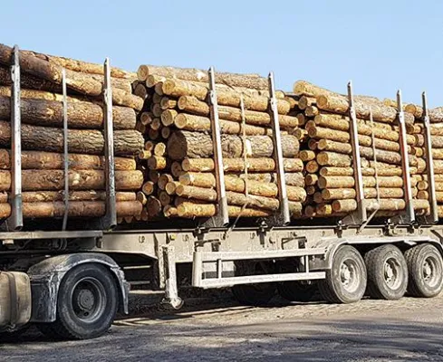 Bild: SpotGuard entlarvt Walddiebe in Süddeutschland