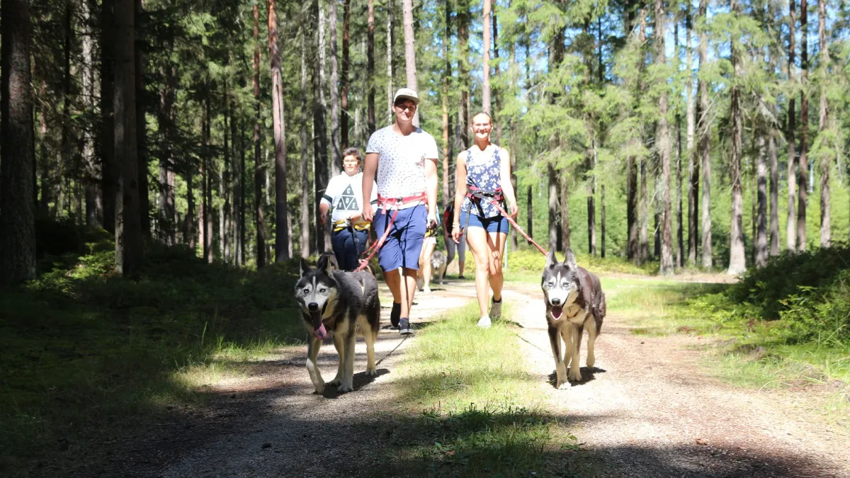 (© Huskyhof im Waldviertel)