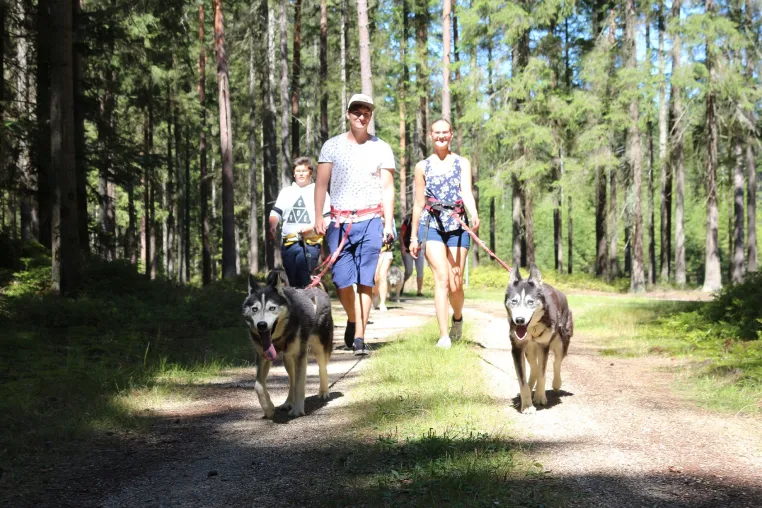 Bild: Huskyhof im Waldviertel: Familienzeit einmal anders