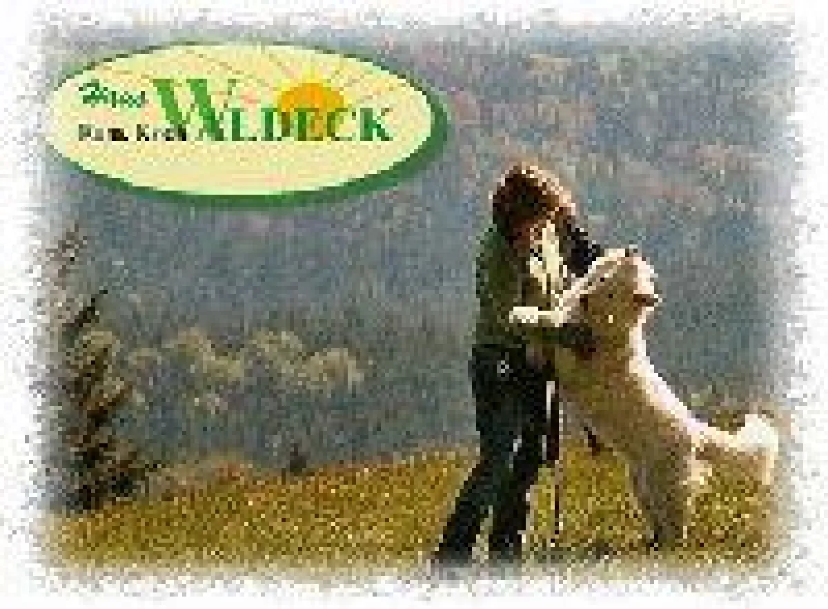 Urlaub mit Hund in Bayern