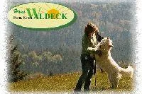 Ferien mit Hund in Bayern ein Urlaubsziel für Herr und Hund auch aus der Schweiz Bild: Ferien mit Hund in Bayern ein Urlaubsziel für Herr und Hund auch aus der Schweiz