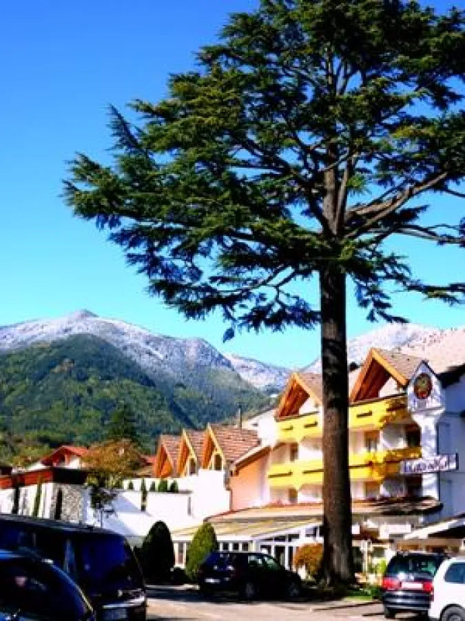 Hotel Löwenhof in Brixen