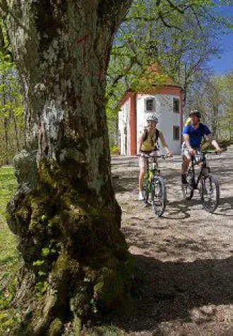 Bild: Maislabyrinth Hahnbach 2014