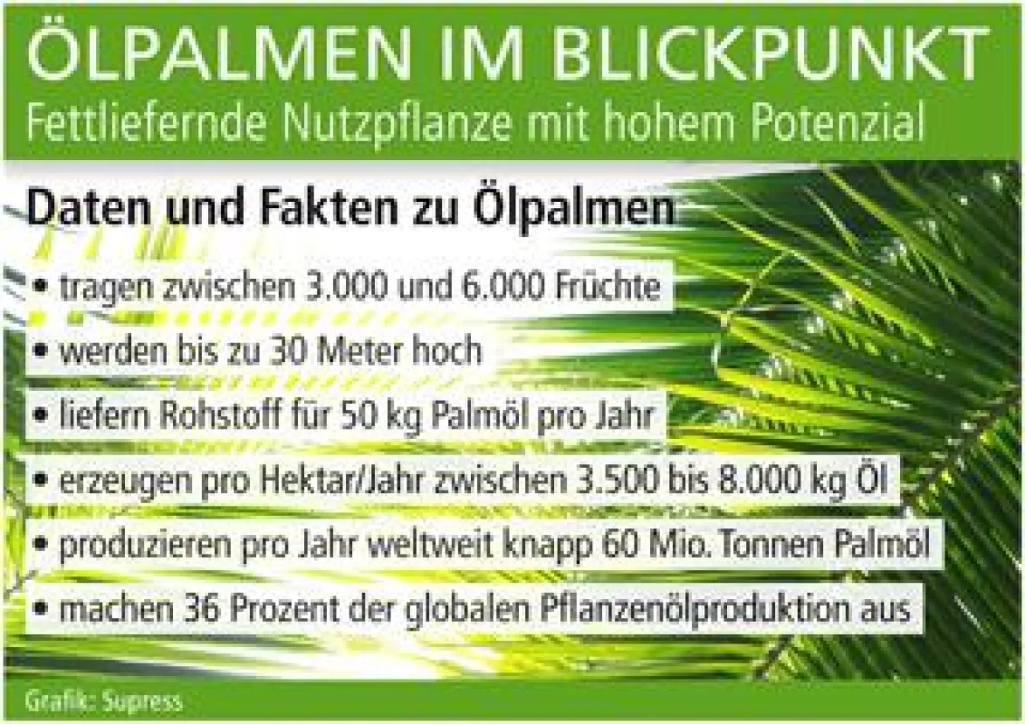 Grafik: Supress