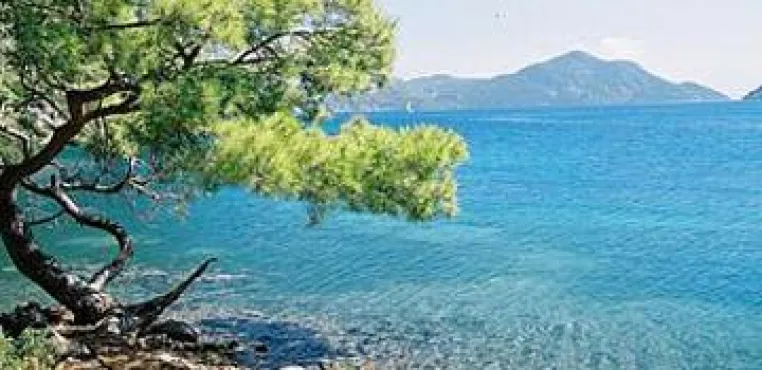Auf „gut“ getestet? Schwachpunkte in Reiseportal-Testreihen wurden aufgedeckt Bild: Auf „gut“ getestet? Schwachpunkte in Reiseportal-Testreihen wurden aufgedeckt