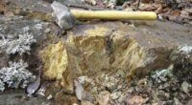 Bild: Gold aus der Zeit des Goldrauschs