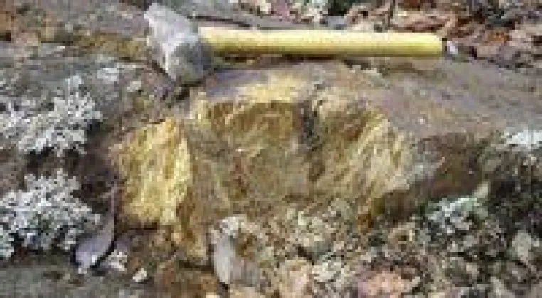 Bild: Gold aus der Zeit des Goldrauschs