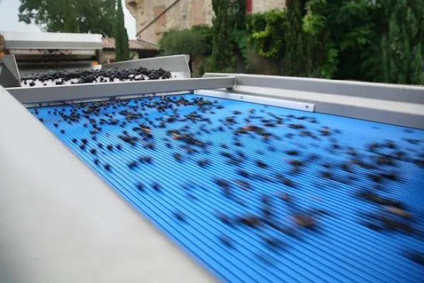 Bild: Exakt, schnell und günstig: die neue Sortieranlage für die Weinernte von Pellenc