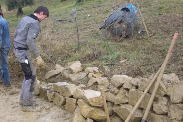Bild: Umweltschutz durch Olivenbaumpatenschaft Alte Trockenmauer restauriert