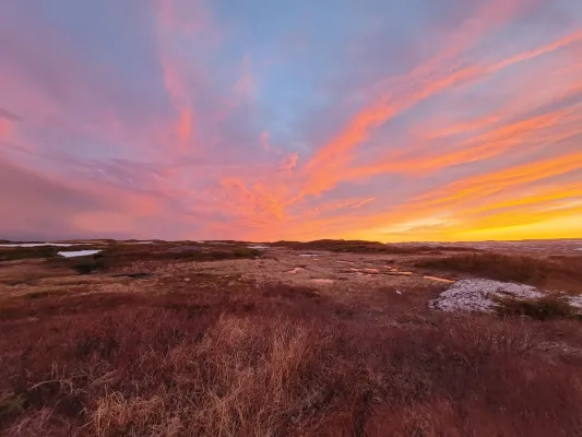 Bild: Matador Mining: Größtes Gold-Bohrprogramm der Geschichte angelaufen