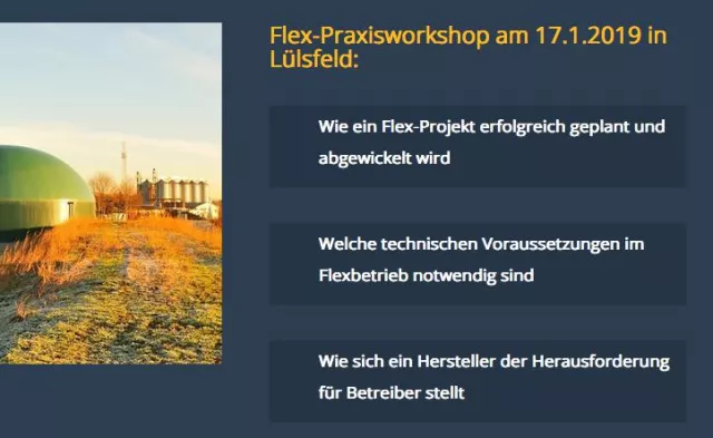 Bild: 17.1.2019: Praxisworkshop zur Biogasanlagen-Flexibilisierung