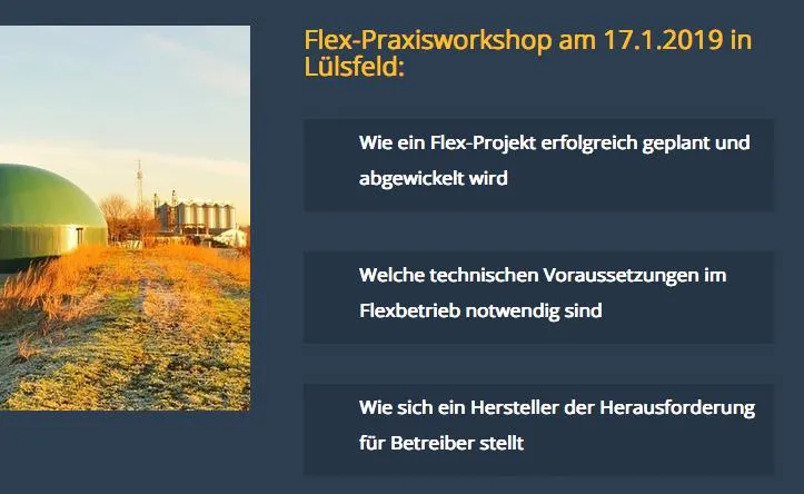 Bild: 17.1.2019: Praxisworkshop zur Biogasanlagen-Flexibilisierung